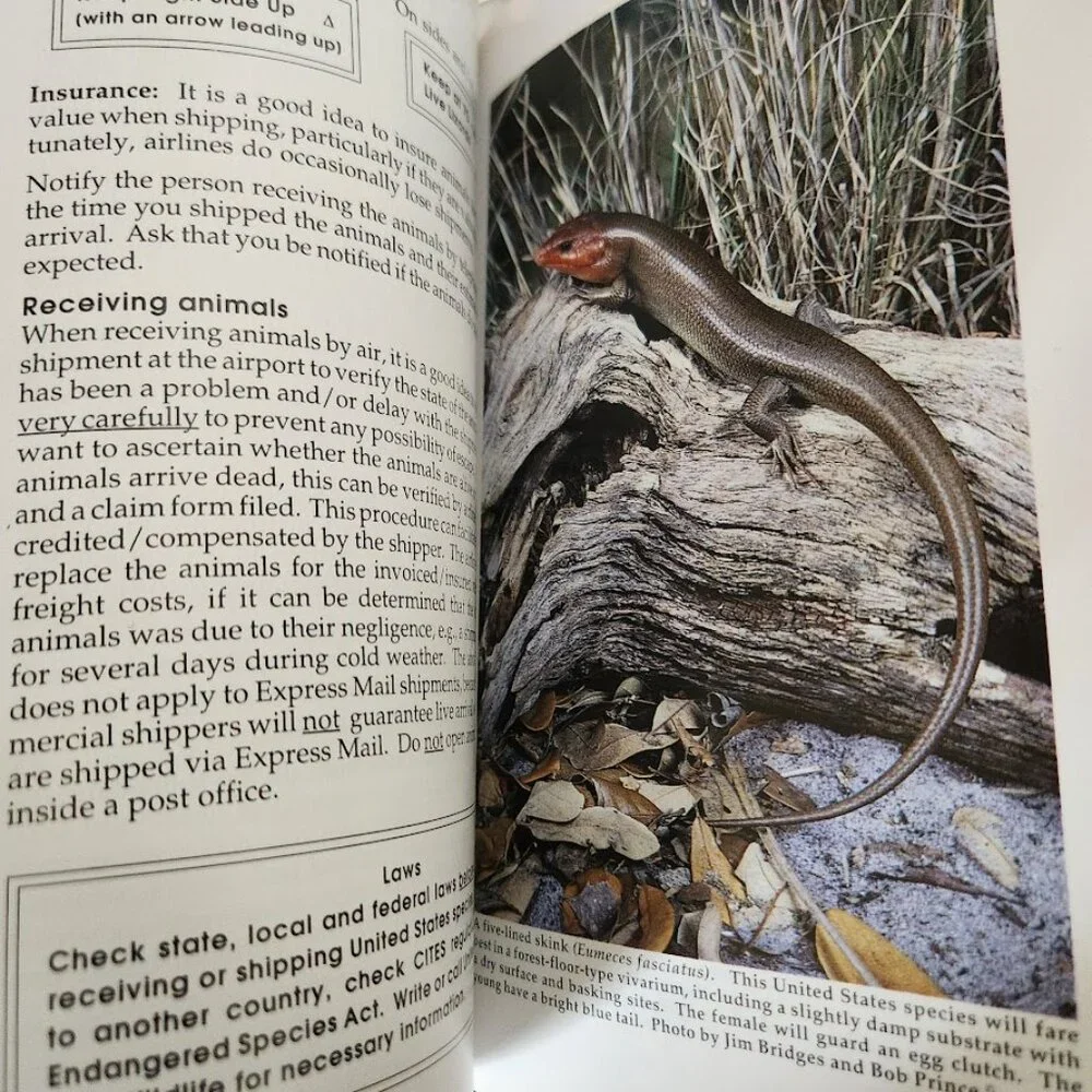 Lizard Keeper's Handbook Book Philippe de Vosjoli 9781882770250 Reptile Caretaki